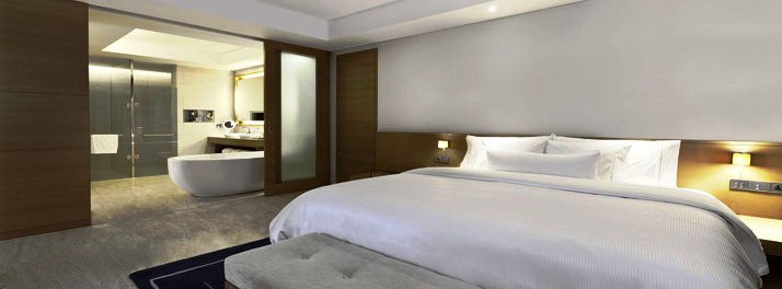 384/The Westin Mumbai Garden City - Mumbai 11.jpg